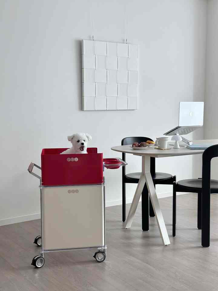 White-toned studio dining space with a white table, black chairs, a cute dog sitting in a red basket, and a laptop, creating a minimal atmosphere