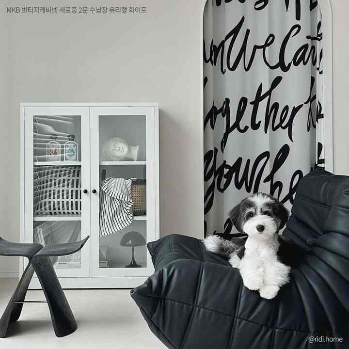 白い壁とキャビネット、黒いソファ、文字の書かれたカーテンが配されたモノトーンのリビング、ソファの上に小さな犬がいる