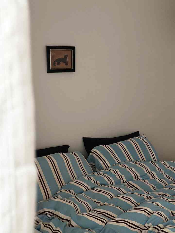 #4월의우리집 #리부트캠프

The weather is still chilly and warm, but cherry blossoms are already in full bloom in many places in Seoul! Whenever I see the pretty flowers on my way to and from work, I feel good for no reason.

The two things I changed to welcome spring are bedding and towels! 🛏️🫧🧺
I bought them because I really liked the colors, and the texture is soft and nice, so it changes the atmosphere of the space and makes me feel good, and it feels like I'm really welcoming spring☺️

Since I change the towels regularly, I changed them to pretty ones, so I feel good every time I use them, and they also become a color point for welcoming spring. 💫

Now I want to bring in some spring plants, and I'm planning on buying Selem, which I've been wanting to buy all winter. If there's a plant that can change the mood of the house, please recommend it🤍🩵

#Today's Home #수수집 #오늘의집 #신혼집꾸미기 #신혼집 #30평대인테리어 #주상복합인테리어 #오늘의우리집 #주방인테리어 #리모델링 #화이트인테리어 #침실인테리어 #침구추천