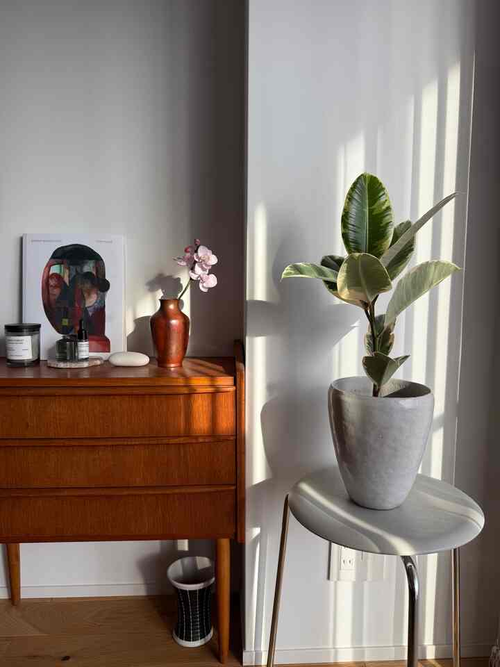 白い壁と木目調ヴィンテージチェスト、プラントスタンドの観葉植物が配置された北欧風の落ち着いた空間