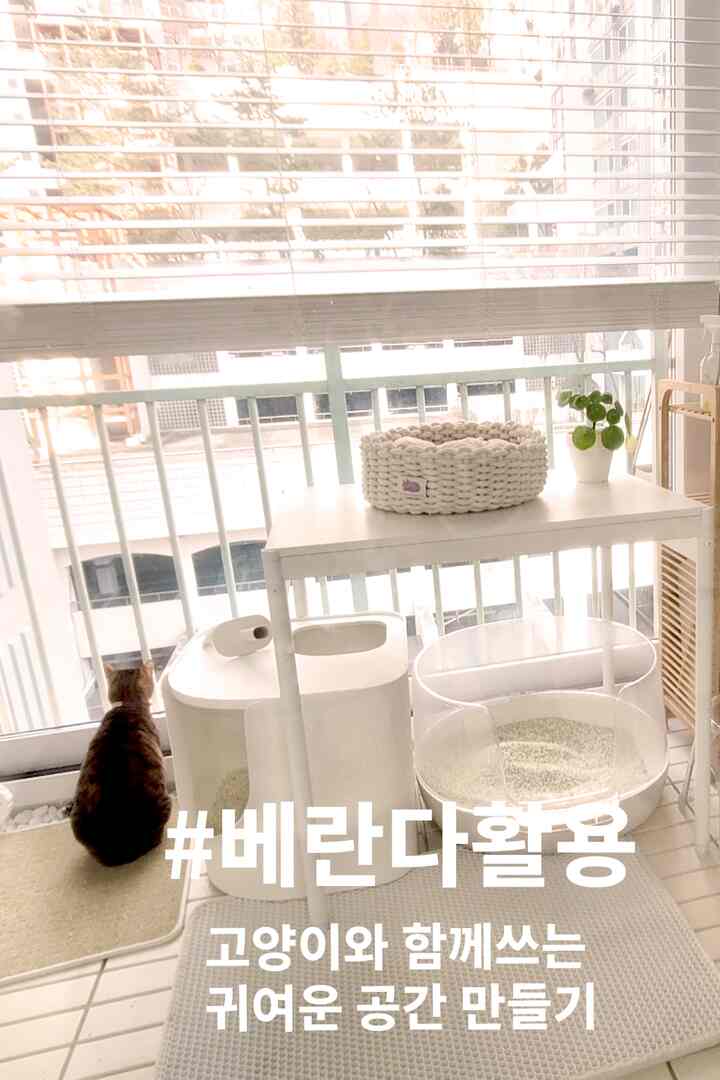 🪴＃ベランダ活用法＃コンスープ記録
猫と一緒に書くかわいい空間を作る

かつては洗濯物を敷いて物だけを置いた空間でしたが、
今は猫たちが最も長く滞在するベランダになりました。
日差しもよく入ってきて、外の世界見物もでき、
何より「トイレ+避難所+窓の外観」が一箇所に集まっていて
我が家で一番充実して活用されている空間です。

＃ベランダのインテリア 



