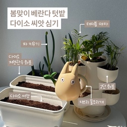 #베란다꾸미기 #베란다텃밭 #텃밭가꾸기
베란다를 아무것도없이 비워두었다가 봄이되어서 베란다에 여러 식물을 키우기시작했어요
가장쉬운 파키우기부터 시작해서, #다이소 에서 씨앗을구매해서 #바질키우기 도 도전! 햇빛이 잘 드는 곳이라 기대하고 있어요
#베란다정원 #베란다 #베란다인테리어 #화분 #물조리개 #식물키우기 #맞팔 #다이소씨앗 #다이소화분 [고양이 