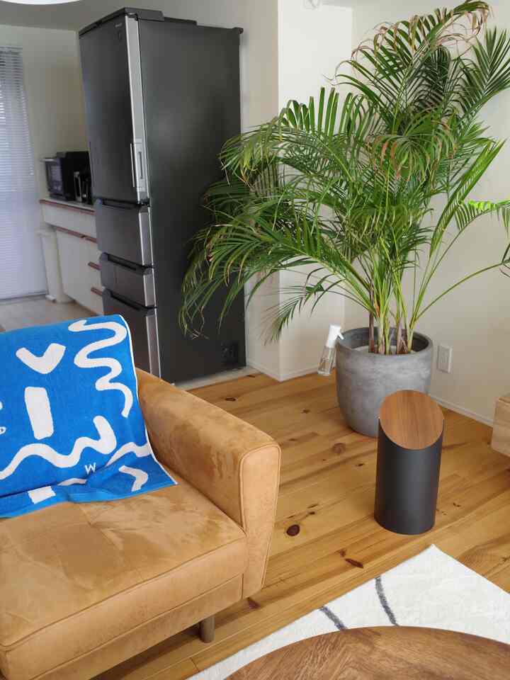 ブラウンと木目調が調和するリビング、アレカヤシの植物とソファが配置されたナチュラルで清潔感のあるインテリア