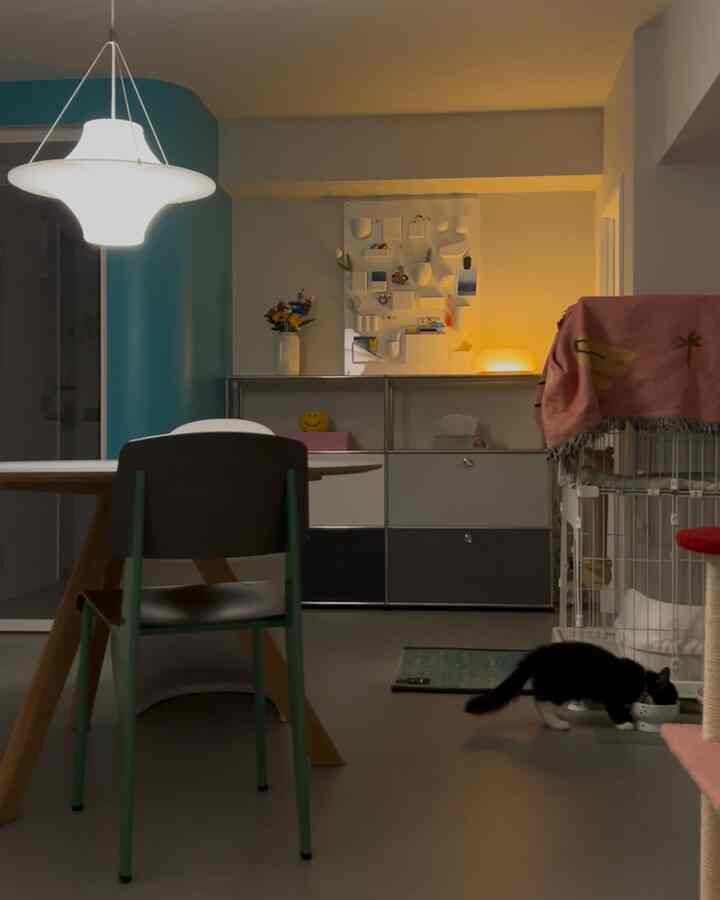 Natural dining room with warm lighting, featuring a central pendant light and a cozy area where a cat is eating