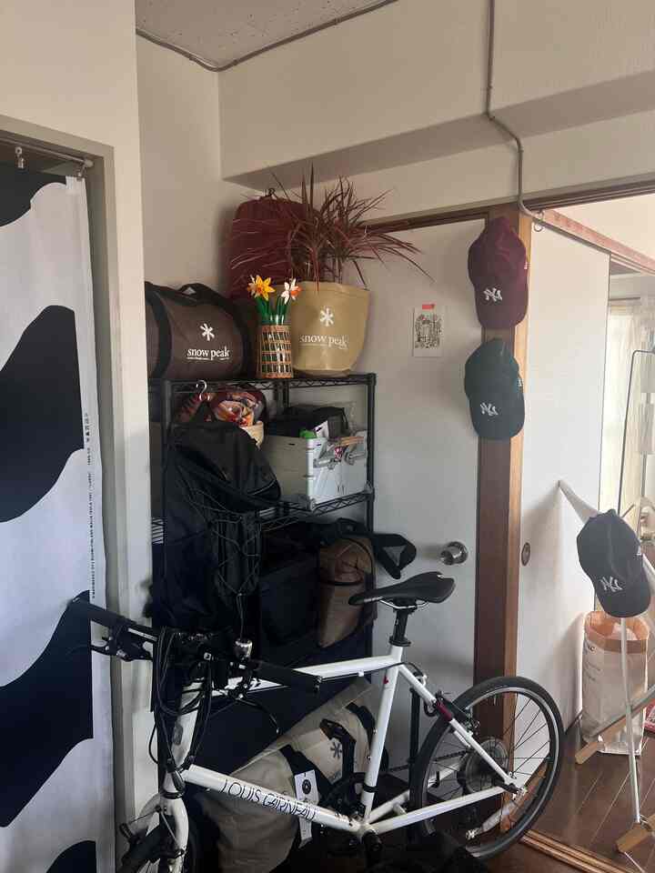 #snow峰 #MoMA
#マリメッコ #LEGO #植物