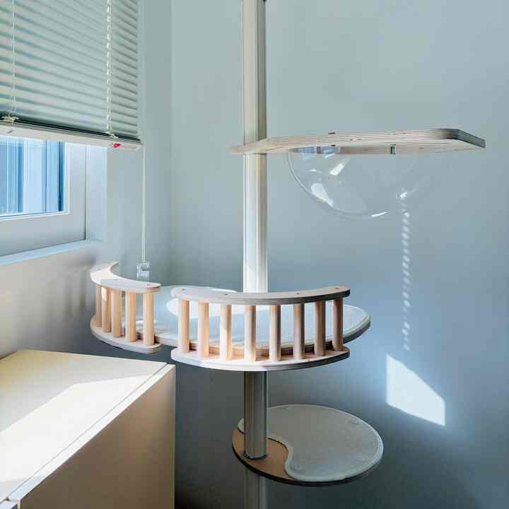 アイボリーとホワイトのトーンが広がる小さな部屋のコーナー、日差しが差し込むミニマルなキャットタワーのある空間