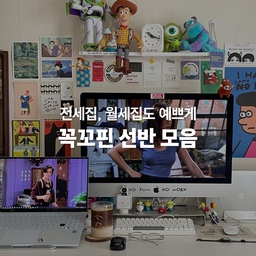 #리빙잇템 #리부트캠프 #리스티클
#꼭꼬핀 #꼭꼬핀선반 #벽선반 #벽선반인테리어
#전세집 #전세집꾸미기 #월세집 #월세집인테리어
#무타공선반 
저는 빈 벽을 보면 채우고 싶어하는 맥시멀리스트 성향을 가지고 있습니다.
하지만 내 집이 아닌 전세/월세 집에서는 벽꾸미기에 상당한 제약이 있죠.
요 제약에서 상당 부분 해방을 이루어내 준 것이 바로 [꼭꼬핀]이라는 아이템인데요,
오늘은 저희 집에서 활용하고 있는 꼭꼬핀 선반을 소개해보려고 합니다!
