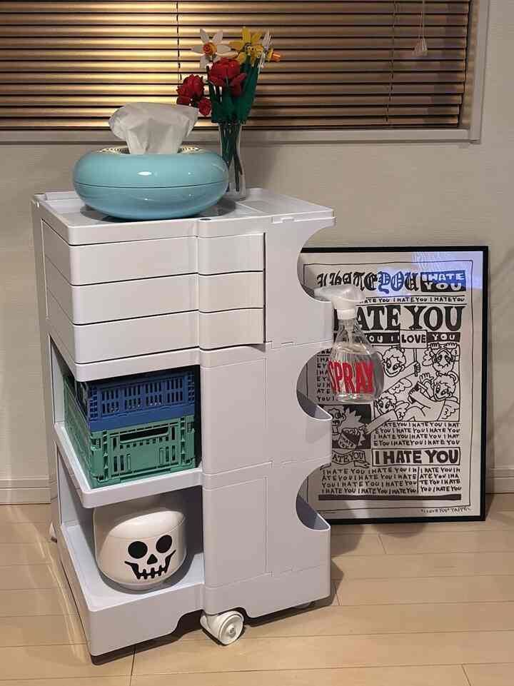 ボビーワゴンのリプロダクトとして購入🌿
可愛いカラーと悩みましたがカラフルなインテリアとのバランスを加味してスノーホワイトを選びました🤍

かなりしっかりしており大満足です💯
梱包もガチガチで箱を開ける前から安心でした◎

お値段は安くはないですが収納力もあり可愛くて購入して良かったです！

#オリジナル写真 #買ってよかった #すっきり収納 #韓国インテリア #収納上手 #リプロダクト #ボビーワゴン風 #ワゴン #1LDK #ミッドセンチュリー #購入品 #購入品紹介