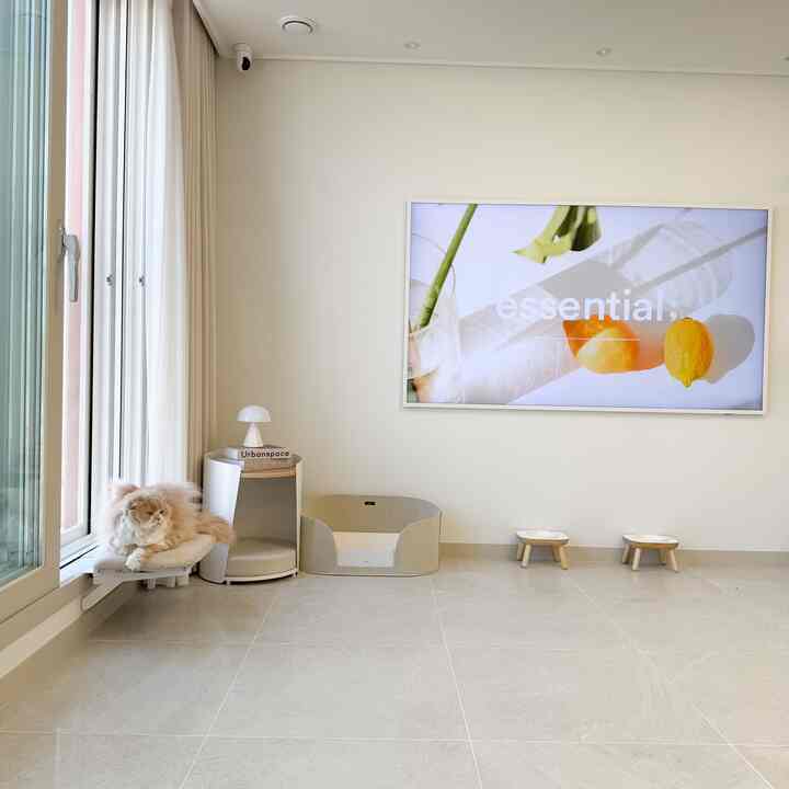 白とナチュラルな色調のリビング、窓ハンモックの猫とキャットタワー、清潔に配置されたペット用食器のあるシンプルなインテリア