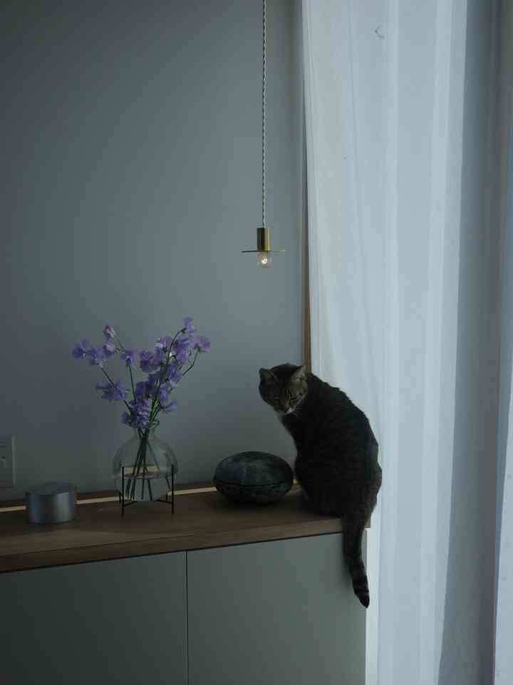 自然な色調の玄関、木製キャビネットの上に猫と紫色の花瓶が置かれた静かな空間