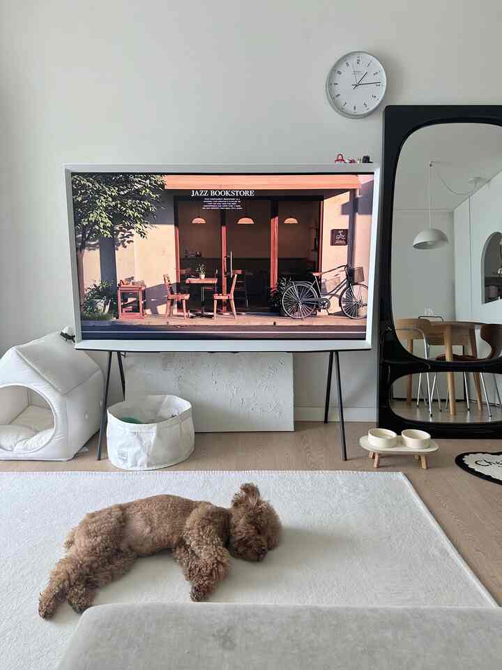 白とベージュのナチュラルなリビング、中央にテレビとペットの犬がラグに横たわり、右側に全身鏡が配置された印象的な空間