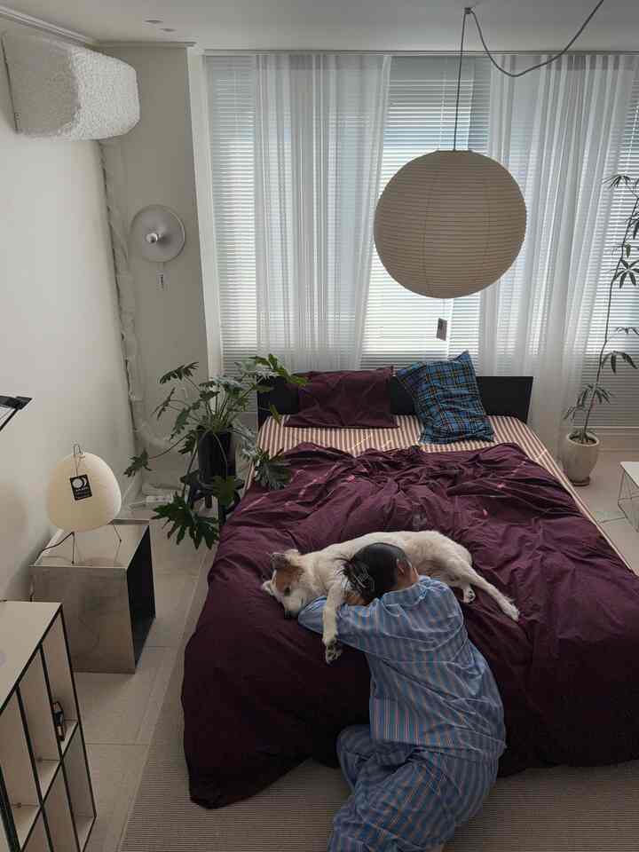 深い紫色の寝具と青いクッションが映えるナチュラルモダンな寝室、窓際の植物と丸いペンダントライトが配置された空間