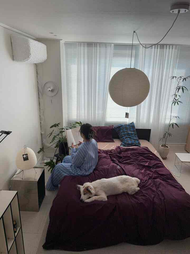 白い壁と紫の寝具が配置された寝室、読書中の人とベッドでくつろぐ犬がいる雰囲気のあるインテリア