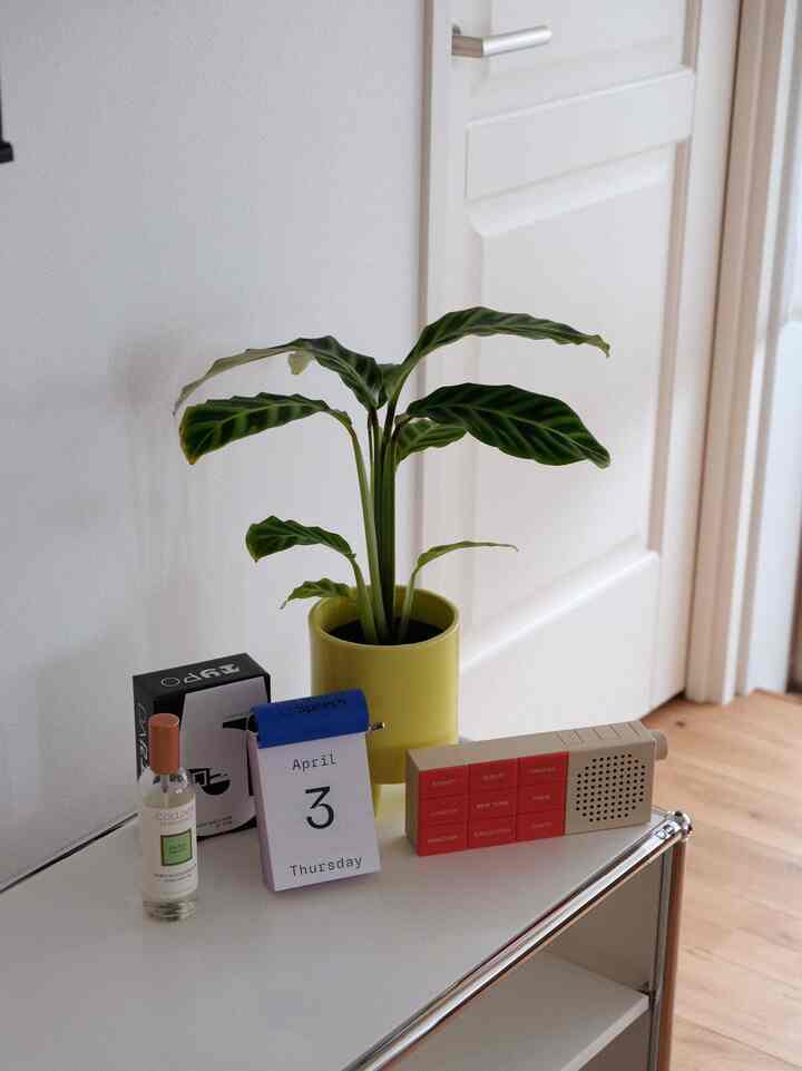 .

Finally We Moved 🪴🌞

新居が完成し引越しが無事完了！
少し落ち着いて来たのでOhHouseデビューをしました📸さっそく新居での写真を初投稿します。

新入りの観葉植物は、引き渡しの際に
リノベーション会社の担当者さんから
プレゼントしていただきました🪴

模様が入っている観葉植物初めてで
今までにない存在感でとてもお気に入りです。

これから、この子と一緒に
少しずつ部屋を育てていきたいと思います🧶

┈┈┈┈┈┈┈┈┈┈┈┈┈┈┈┈

#グリーンのある暮らし  #リビングダイニング　　
#マンションインテリア #リビングインテリア #リノベーションインテリア #リノベ #マンション暮らし #マンション暮らしインテリア #2ldkインテリア #2ldk #2人暮らし #2人暮らしのインテリア #フルリノベーション