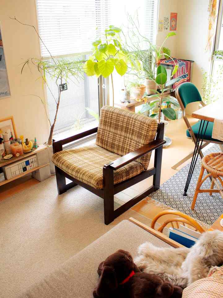 明るい白い壁とブラウン調の家具、緑の植物が配置された北欧風ミッドセンチュリーモダンなリビング空間