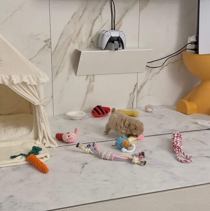 short form carousel card thumbnail