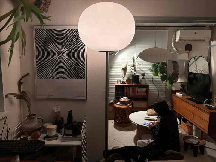 ワークスペースから見たリビングの一部
妻が寛いでおいでです

#midcentury
#vintage