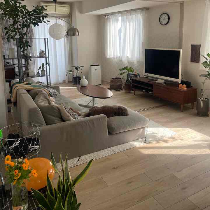 Enam bulan setelah pindah, saya merasa lebih tenang.

#ruangan #roomtour #interiordesign #interior #midcenturydecor #midcenturydesign #midcemtury #midcenturyliving #japandi #ikea #インテリア #ミッドセンチュリーモダン #ミッドセンチュリー #ジャパンディ #日本 #賃貸 #二人暮らし
#Lampu Arco #イケア