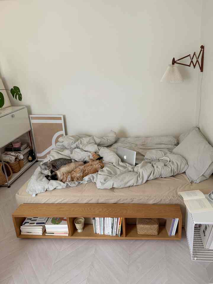 ナチュラルな木目調とベージュ、ストライプの寝具が配置された低いベッドの寝室、三匹の猫がくつろぐ雰囲気のあるインテリア