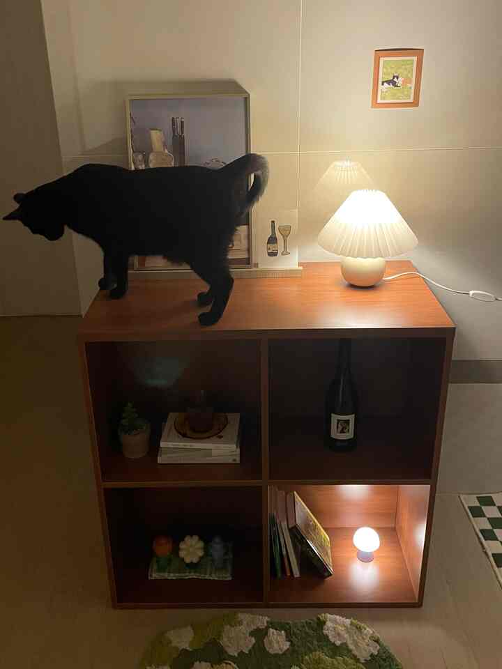 白い壁と木目調の棚がある空間に黒猫が乗り、白いテーブルランプの柔らかな光が温かみのある雰囲気を演出しています。