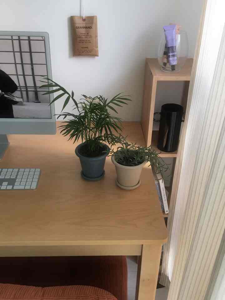 ナチュラルな木目調と白い壁が調和するホームオフィス空間、デスクの上の緑の植物がアクセントの居心地良い作業空間