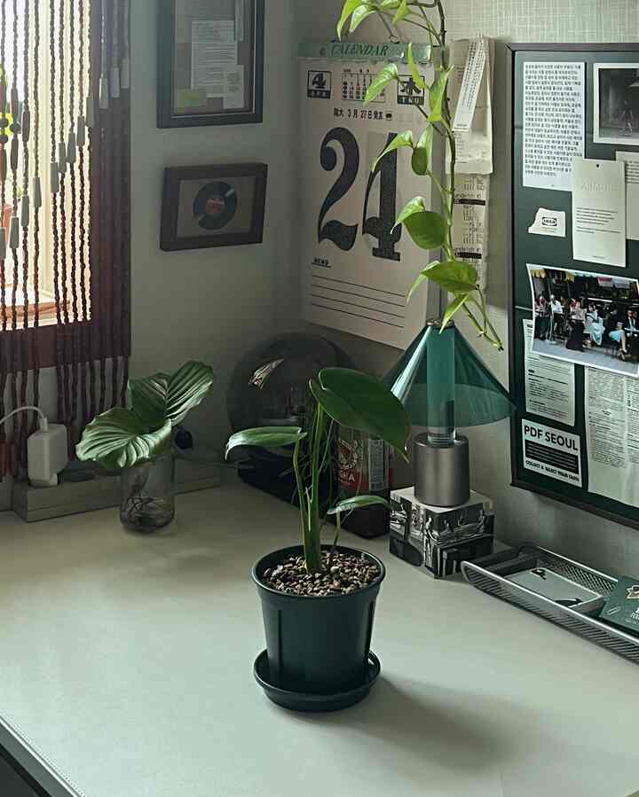 ホワイトトーンの狭い部屋のデスク、モンステラの植物とレトロな壁の飾りが配置された雰囲気のある空間