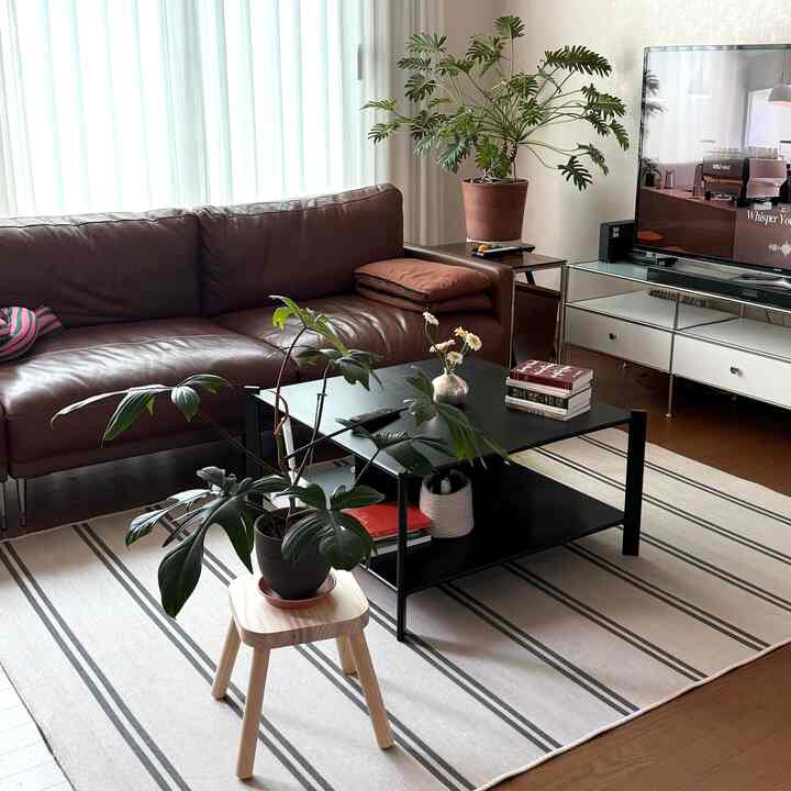 暖かいブラウンとナチュラルな色調のリビング、大型のレザーソファとコーヒーテーブル、植物が配置された落ち着いた空間