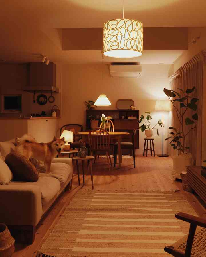 ナチュラルなベージュと木目調のリビング・ダイニング、暖かな照明と犬がいる雰囲気のある空間