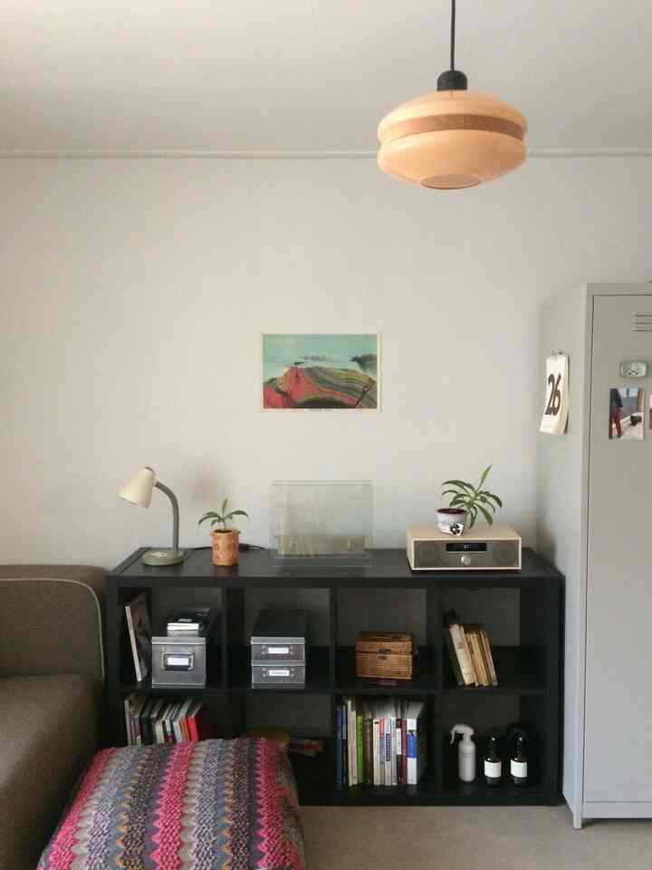 白い壁と黒い本棚がある狭い一人暮らしのリビング、ヴィンテージの小物と植物が配置された雰囲気のあるインテリア