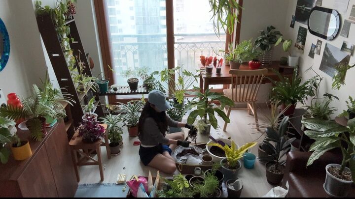 short form carousel card thumbnail