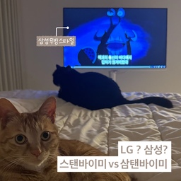 #내돈내산 #콘수프기록
#삼성스탠바이미 라고 불리는 #삼탠바이미
신혼집 혼수 를 모두 삼성에서 맞췄는데 서비스로 받은 이동식 삼성무빙스타일에요!
특히 맥북과 화면 미러링이 쉽게 돼서 제가 좋아하는 애니메이션도 큰 화면으로 볼 수 있어 좋아요💖
#스탠바이미 와 #삼탠바이미 비교분석했던 정보 공유드려요!
[LG 스탠바이미 2세대]
✅장점
배터리 내장으로 무선 사용 가능 (최대 4시간)
터치스크린 지원으로 직관적인 조작 가능
일체형 디자인으로 설치 및 이동이 간편
AI 기반 화질·음질 최적화 기능 탑재
✅단점
화면 크기와 해상도 선택의 폭이 제한적
가격이 상대적으로 높음 ￼ ￼ ￼
[삼성 무빙스타일 (삼탠바이미)]
✅장점
다양한 화면 크기(27·32·43인치) 선택가능
해상도(FHD~4K) 선택 가능
모니터와 스탠드를 조합하여 가성비 우수
모니터와 스탠드의 색상 선택 가능 (화이트, 블랙)
비교적 저렴한가격, 혼수 서비스로 받는경우 많음.
✅단점
배터리 미지원으로 항상 전원 연결 필요
터치스크린 미지원 ￼ ￼
#고양이 와 함께 애니보는 퇴근시간 얼마나 행복한지 !🐈🐈‍⬛
#삼성tv #무빙스타일 #무빙tv #삼성티비 #삼성무비 #삼탠바이미거치대 #삼성전자 #삼성혼수 #맞팔 #삼성무빙스타일 #삼성무선티비 #스탠바이미비교 #신혼집 #신혼 #신혼혼수 #혼수가전 #혼수 #삼성혼수 