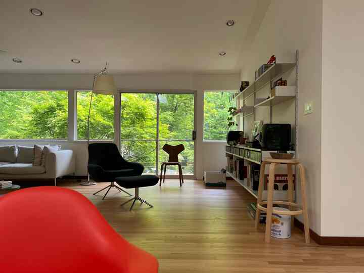 Full green view #livingroom #livingroominterioe #livingroomdecor #artemide #hermanmiller #vitsoe #designwithinrreadh