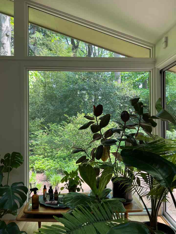 G r e e n 🌱 #bedrolmcorner #plants #planterior #roomdecor #cozyroom
#cozyroomecor #indoorplanta  