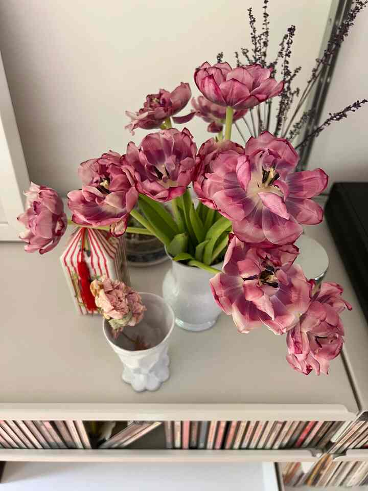 Peony tulips are the prettiest! 💗💗💗 #ontheshelve #vitsoe #walldecor #walldecoration #livingroomdecor #flowerdecor