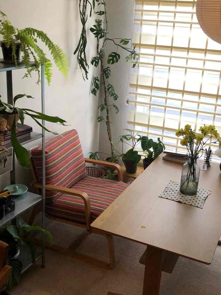 ナチュラルな木目調のダイニングテーブルとカラフルなストライプのアームチェアが置かれた落ち着いたリビングダイニング、窓にはベージュのブラインドが設置されている