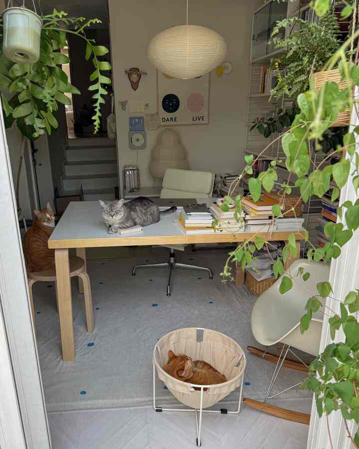 温かみのあるナチュラルカラーの狭いリビング兼ホームオフィス、机とアームチェア、のんびりとした3匹の猫がいる印象的な空間