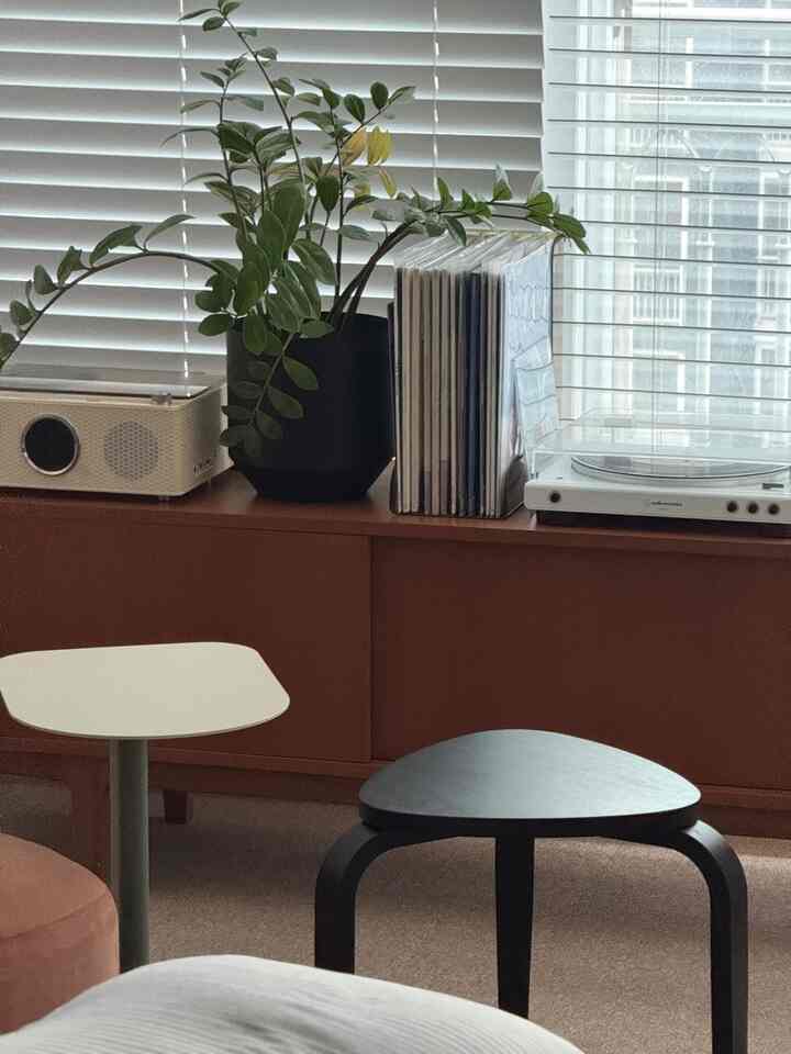 白いブラインドを背景に、木目調のキャビネットの上に植物とターンテーブルが配置されたシンプルなワンルームリビング