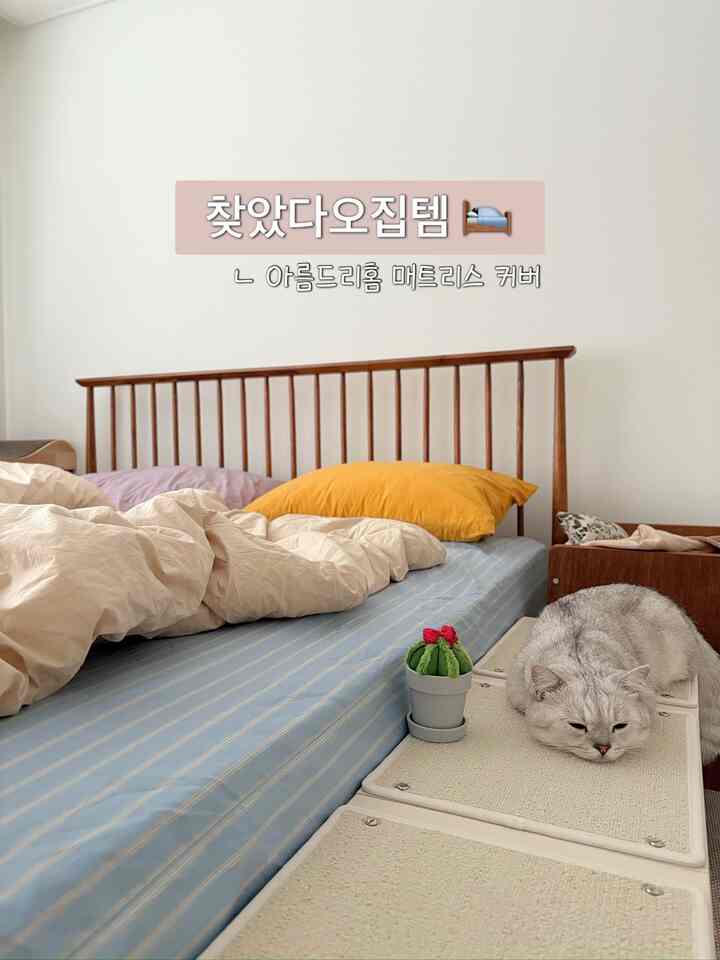 白い壁とナチュラルな木目調のベッドが配置された寝室、青いストライプのマットレスカバーとくつろぐ猫がいる雰囲気のあるインテリア