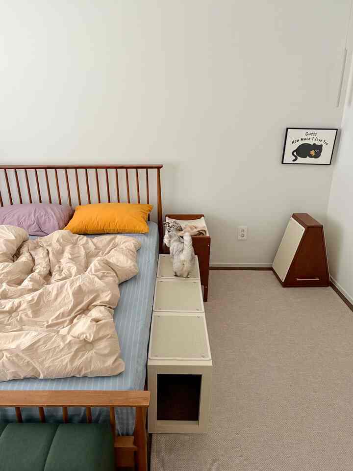 白い壁とナチュラルウッドのベッドフレームがある寝室、猫とペット家具が配置された雰囲気のある空間