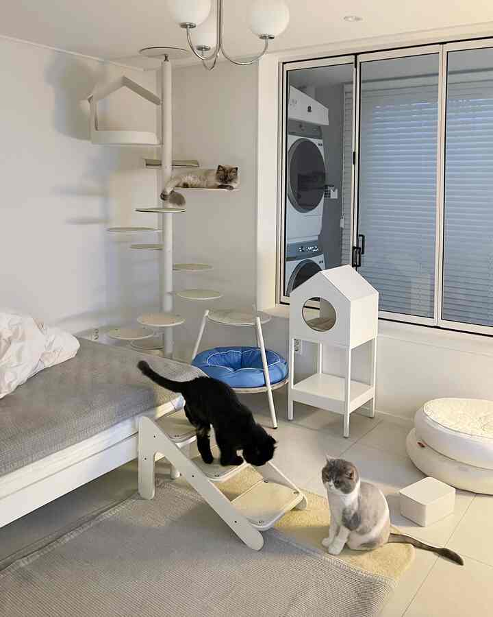 ホワイトトーンのリビングルーム、ペットステップと3匹の猫がいる雰囲気のあるペットフレンドリーなインテリア