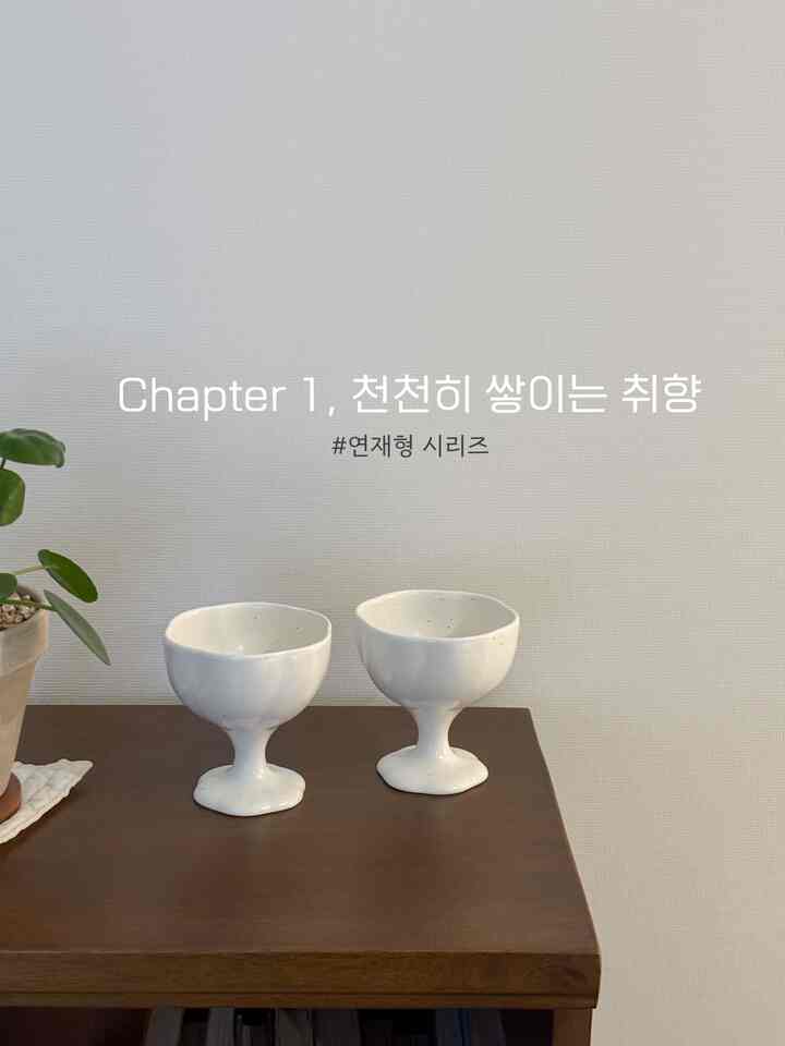 #ftc15기이야기 #연재형시리즈 
大切な贈り物が一つ二つ集まって作られた、自分だけの小さな好み。 ‧˚₊*̥‧˚₊̥‧


