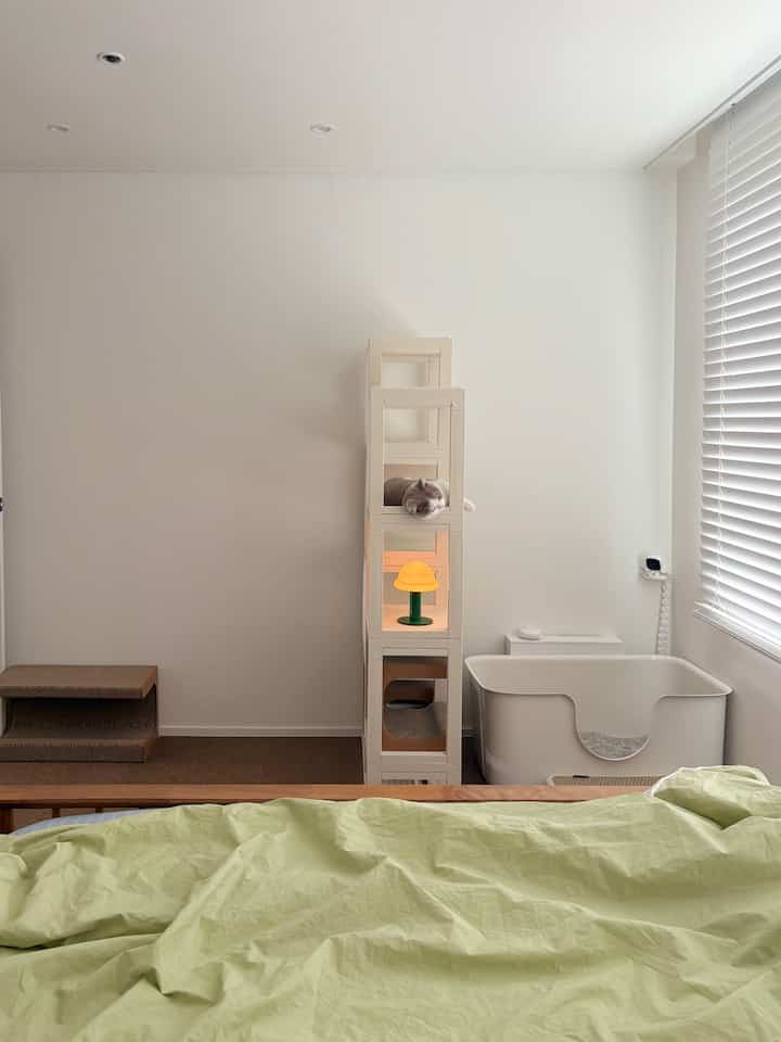 明るいホワイトと木目調の調和が取れた寝室、モジュール式キャットタワーと猫トイレが配置された居心地の良い空間