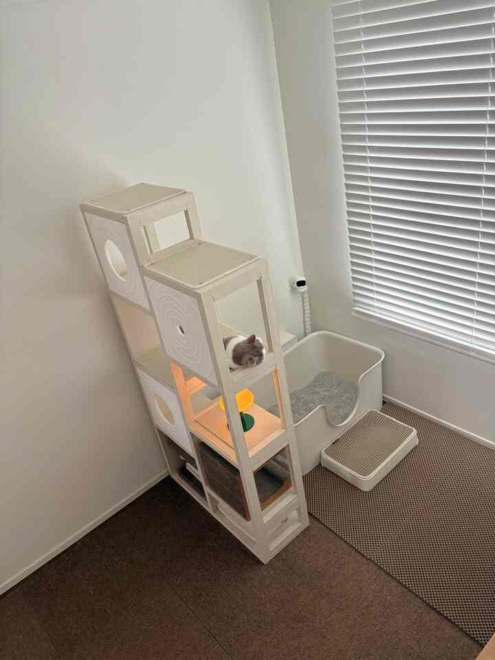 ナチュラルカラーの寝室、白いモジュールキャットタワーと猫、猫トイレとペットステップが配置された雰囲気のあるペットインテリア
