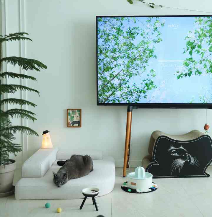 ホワイトと木目調のリビング、テレビ台とペットベッドが配置され、落ち着いた雰囲気のある空間