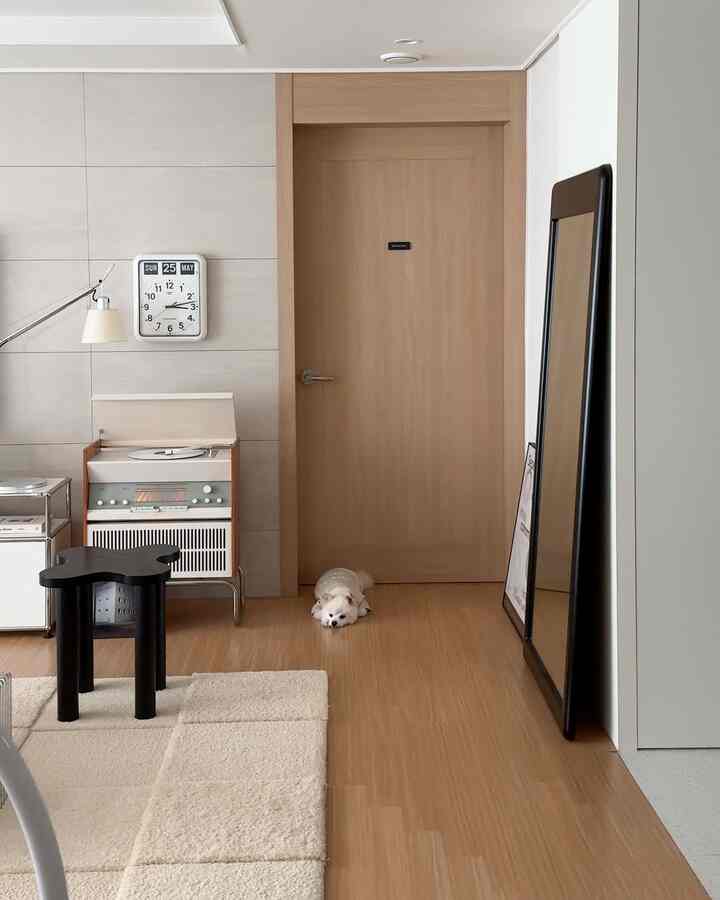 White and wood tone living room with a large mirror and a dog, featuring minimal and modern design
