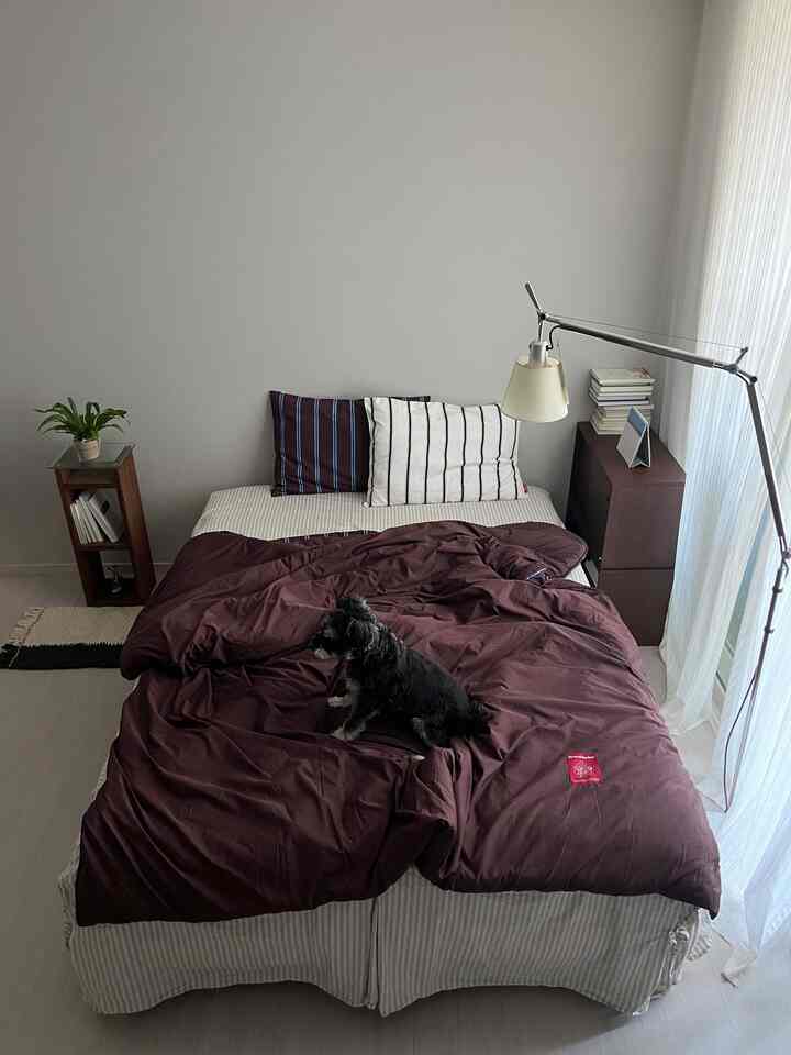 Brown-toned bedroom featuring wooden furniture and premium bedding with a small dog sitting on the bed, creating a cozy atmosphere