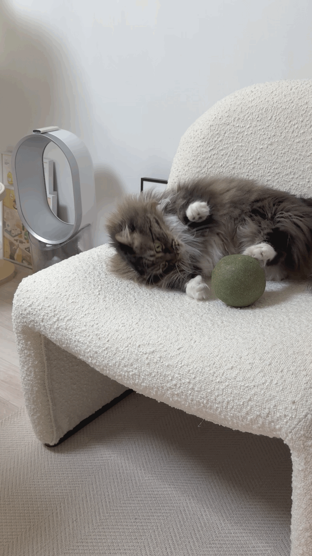 short form carousel card thumbnail