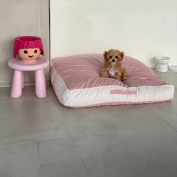 #오감리뷰 프로그램을 통해 제품을 제공받아 직접 사용하고 스타일링한 후기입니다 
우리집 강쥐가 푹빠진 기절 댕냥 방수 쿠션 소개합니다
차가운 바닥 보다는 부드럽고 폭신한 곳에만 앉는 4개월차 말티푸 감자입니다
그래서 방석은 거실, 울타리안, 침실 많으면 많을수록 좋은 것 같아요
