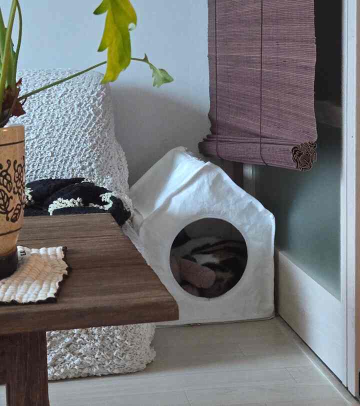 隠れたユニを探す 
久しぶりに猫の家をリビングルームに取り出しておくと、ずっと入らなかった家にすっぽり入って寝ているユニ


#kitcheninspiration #kitchendecor #キッチンインテリア
#自家製インテリア #自家製インテリア #ワンルームインテリア #pinterestaesthetic #roomdecor
＃interiordesigninspiration＃家の装飾＃今日の家
＃自家製インテリア＃自家製インテリア＃自家製インテリア
＃小さな家を飾る＃孤立したテーブル＃円形テーブル
＃インテリアを飾る＃跡＃36型＃幸せな家