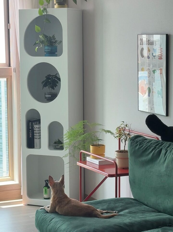 short form carousel card thumbnail